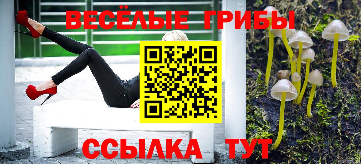 Псилоцибиновые грибы MAGIC MUSHROOMS Волжск